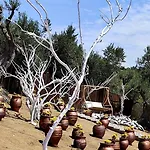 Cozy House With Amazing View And Unique Outdoor! * Loutra Edipsou (Evia)