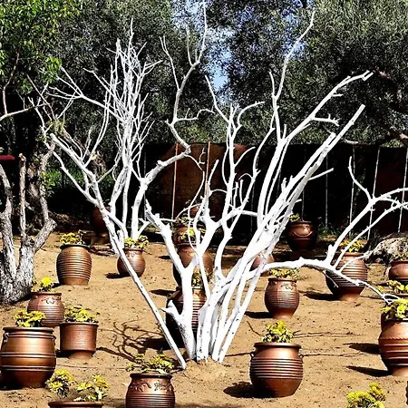 Apartman Cozy House With Amazing View And Unique Outdoor! *