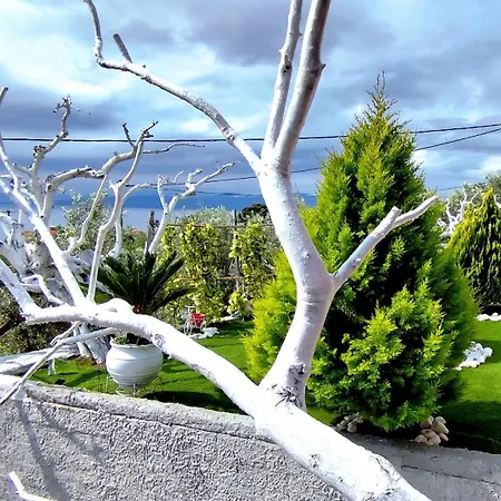 Cozy House With Amazing View! Λουτρά Αιδηψού