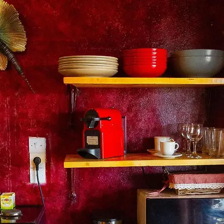 Cozy House With Amazing View And Unique Outdoor!