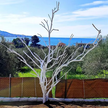 Cozy House With Amazing View! * Λουτρά Αιδηψού