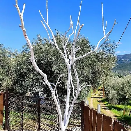 Cozy House With Amazing View! * Λουτρά Αιδηψού