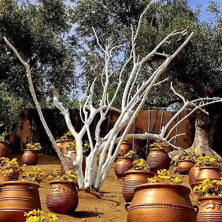 Apartman Cozy House With Amazing View And Unique Outdoor!