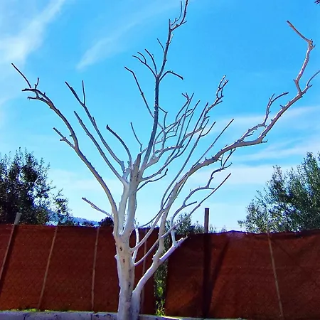 Cozy House With Amazing View And Unique Outdoor! Apartman