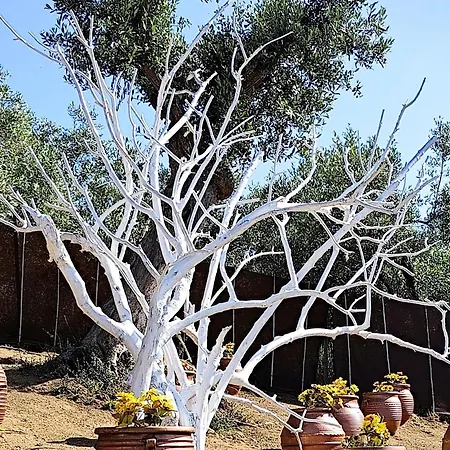 Cozy House With Amazing View And Unique Outdoor! Apartman Lutrá Edipszú