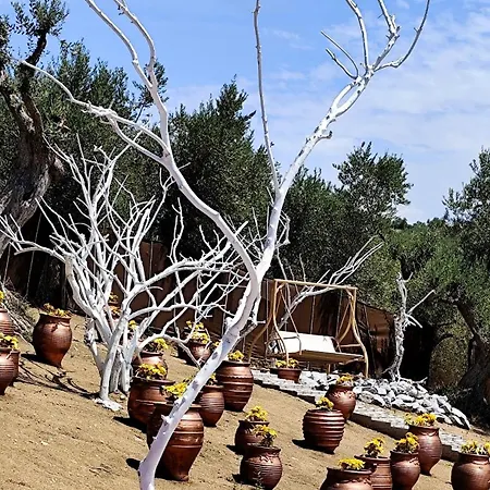 Cozy House With Amazing View And Unique Outdoor! * Lutrá Edipszú