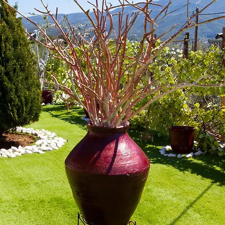 Cozy House With Amazing View And Unique Outdoor! Appartement Loutra Edipsou (Evia)