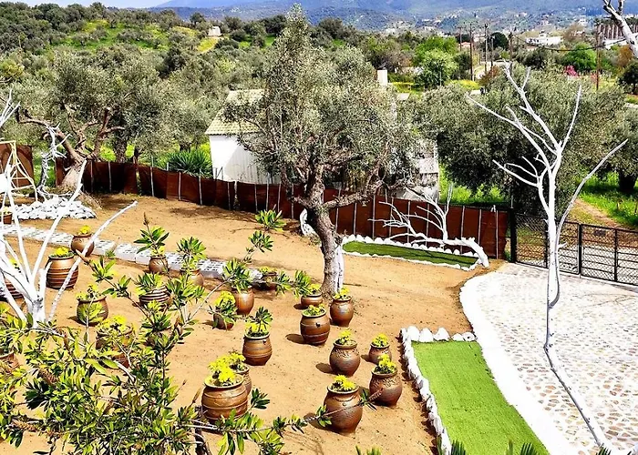 Cozy House With Amazing View And Unique Outdoor! Apartment Loutra Edipsou (Evia)