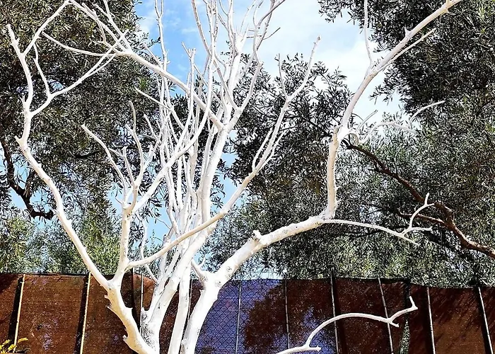 Apartment Cozy House With Amazing View And Unique Outdoor!