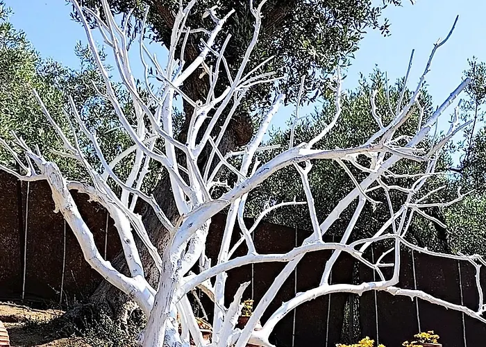 Cozy House With Amazing View And Unique Outdoor! Apartment Loutra Edipsou (Evia)