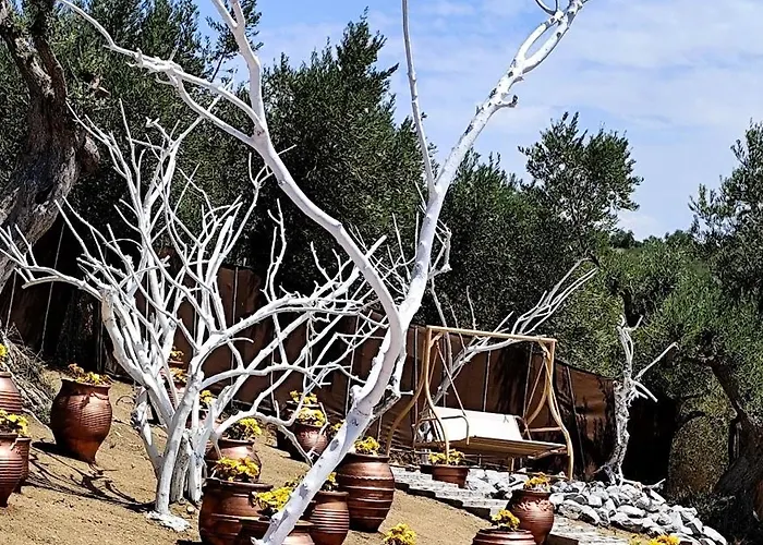 Cozy House With Amazing View And Unique Outdoor! * Loutra Edipsou (Evia)